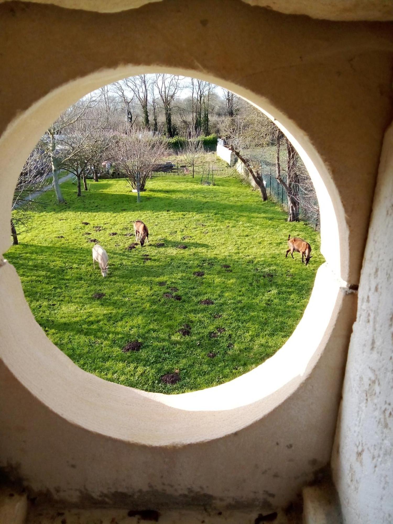 Holiday home Le Vieux Moulin De Pierre